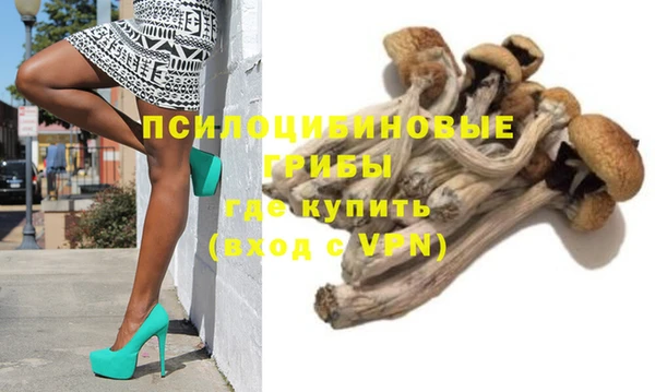 круглые Вяземский
