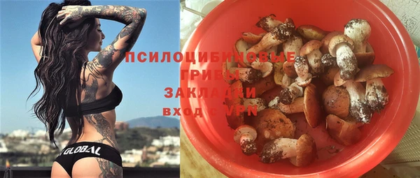 круглые Вяземский