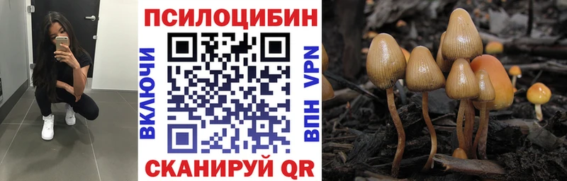 Псилоцибиновые грибы GOLDEN TEACHER  ОМГ ОМГ вход  Железногорск 