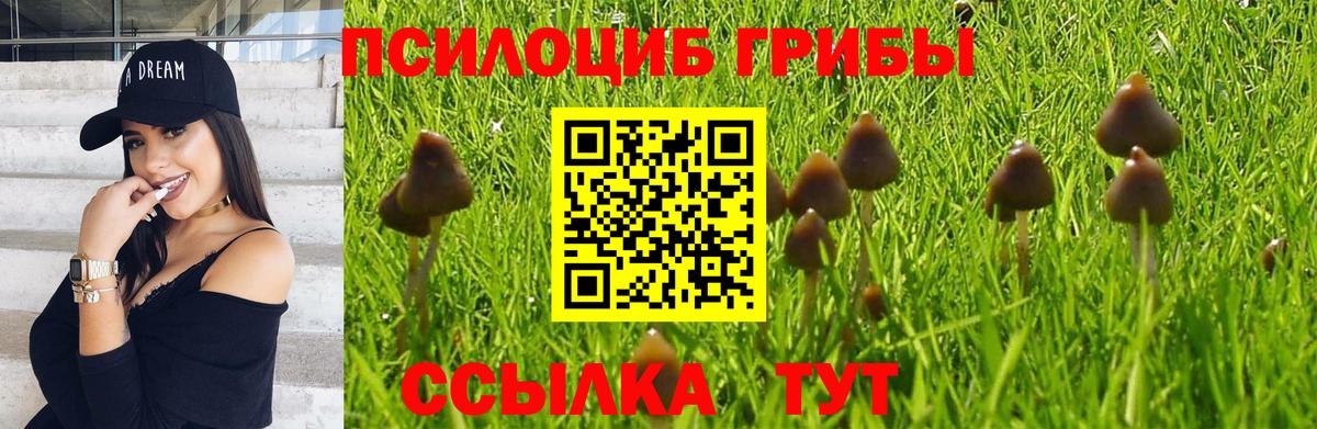 Экстази Железногорск